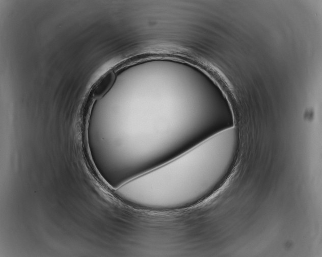 X0000100841114200806200731