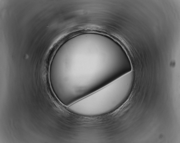 X0000100841115200806200731