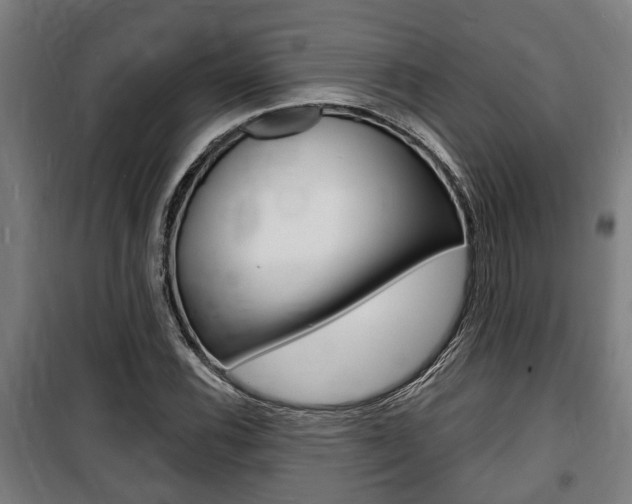 X0000100841116200806200731