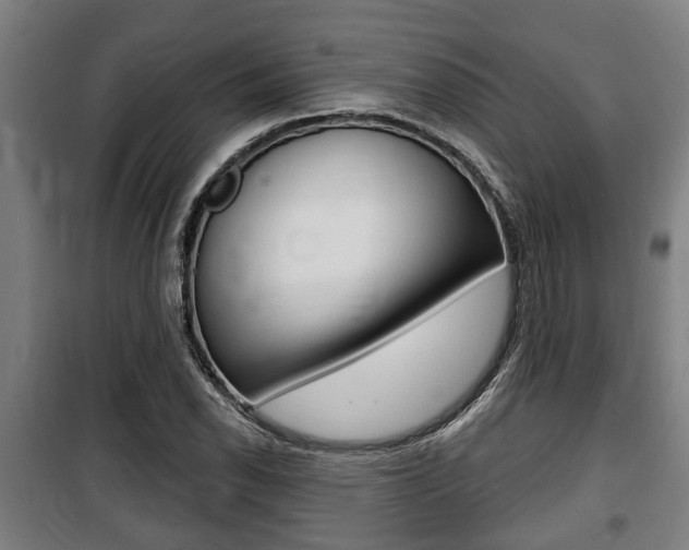 X0000100841118200806200731