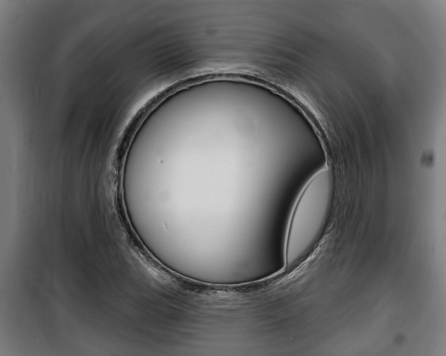 X0000100841119200806200731