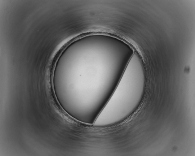 X0000100841120200806200731