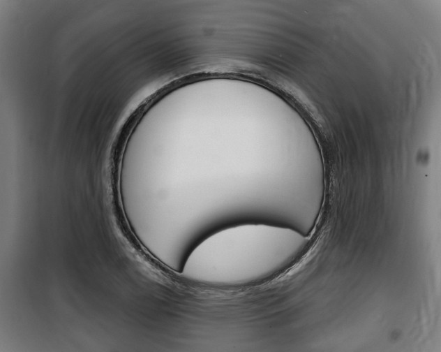 X0000100841122200806200731