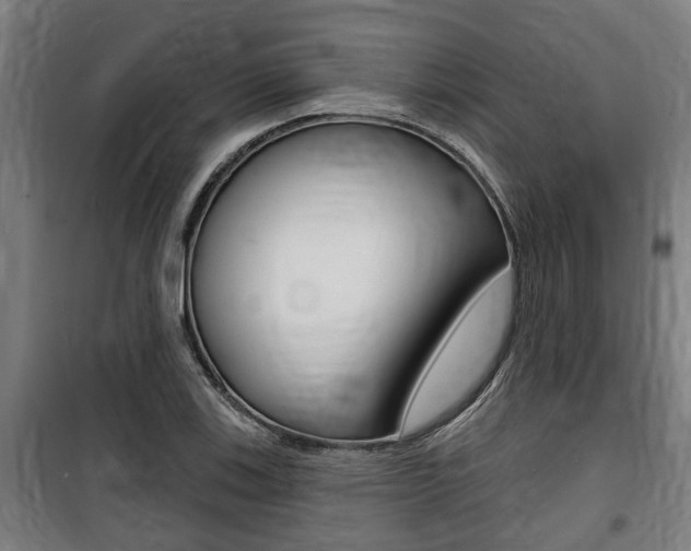 X0000100841123200806200731