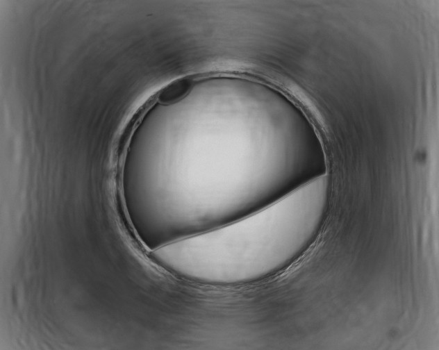 X0000100841124200806200731