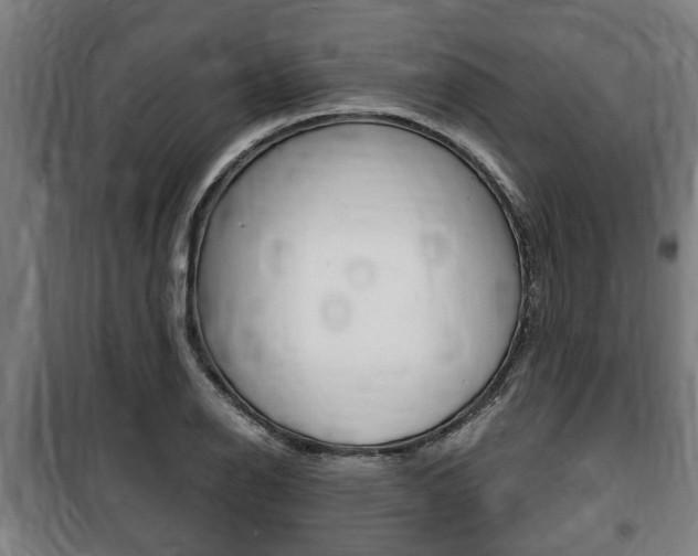 X0000100841126200806200732