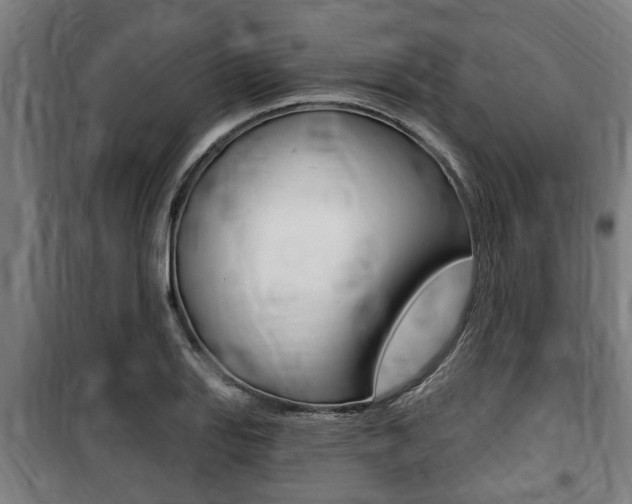 X0000100841127200806200732