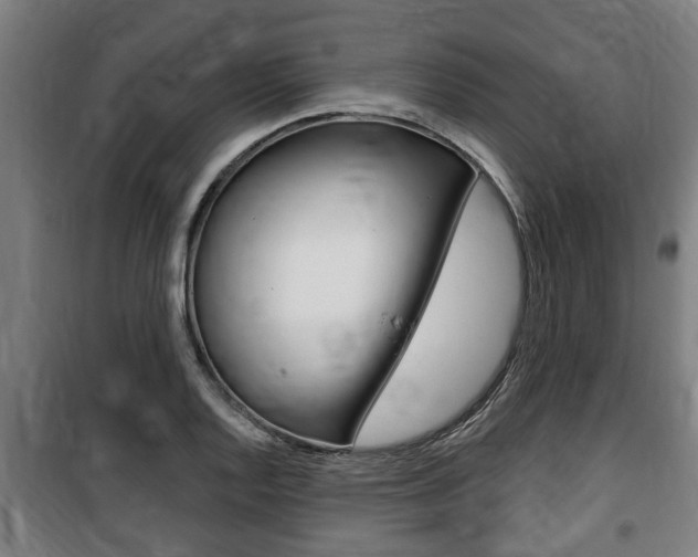 X0000100841128200806200732