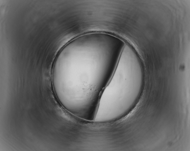 X0000100841129200806200732