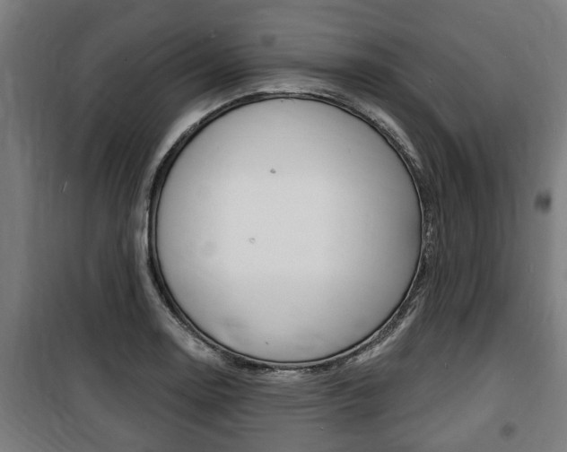 X0000100841130200806200732