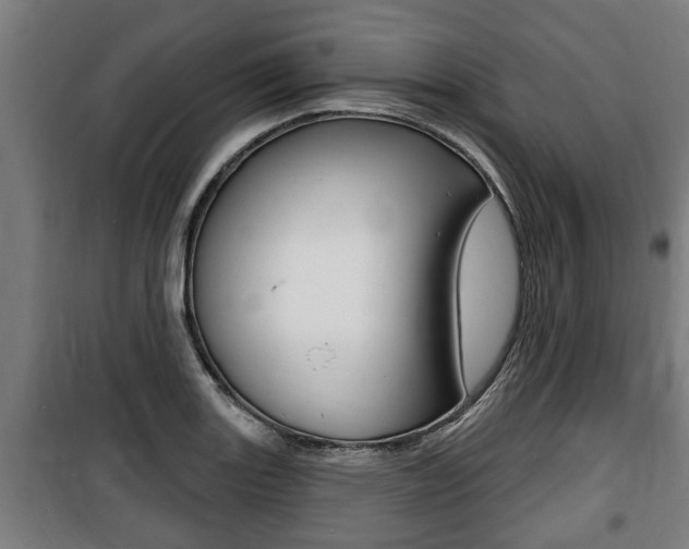 X0000100841131200806200732