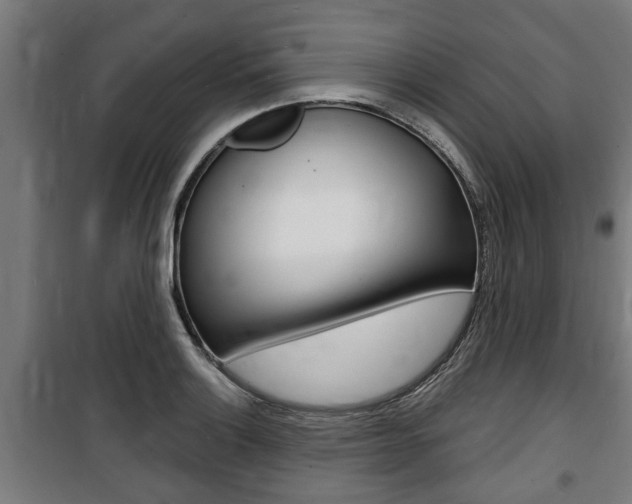 X0000100841132200806200732