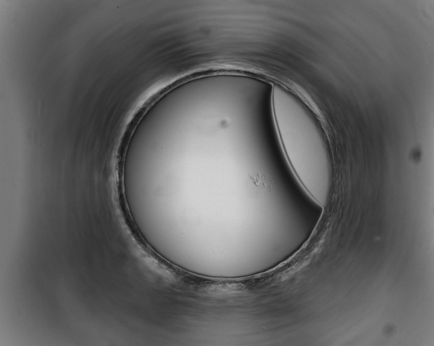 X0000100841133200806200732