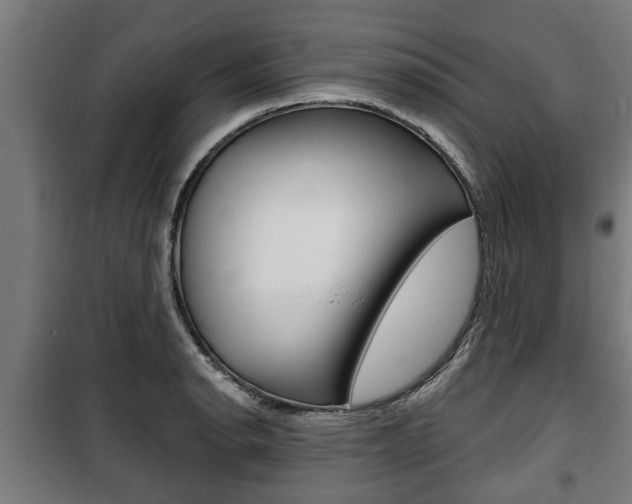 X0000100841134200806200732