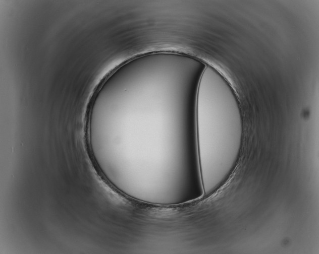 X0000100841135200806200732