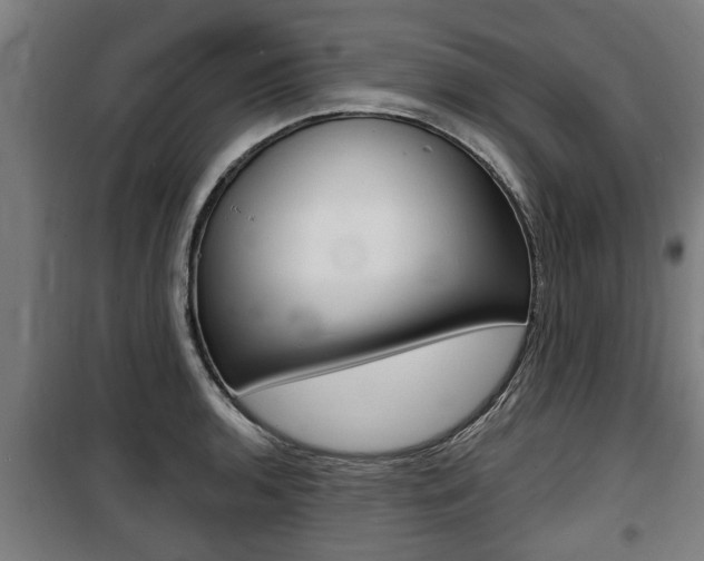 X0000100841136200806200732