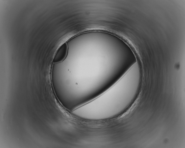 X0000100841137200806200732