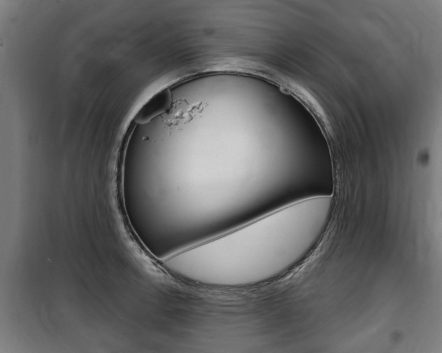 X0000100841138200806200732