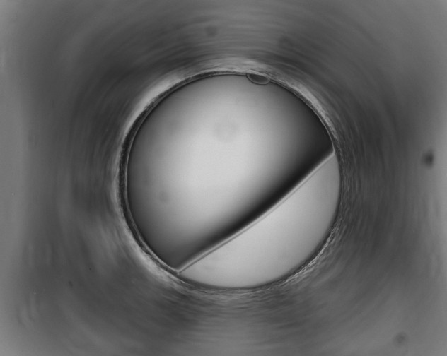 X0000100841139200806200732