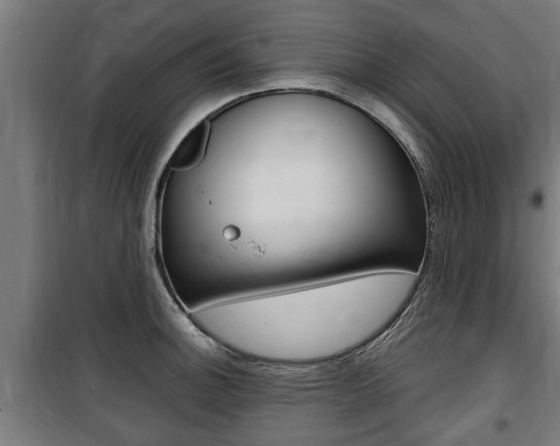 X0000100841140200806200732