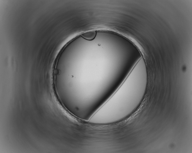 X0000100841142200806200732