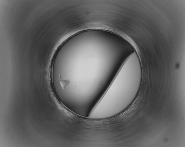 X0000100841144200806200732