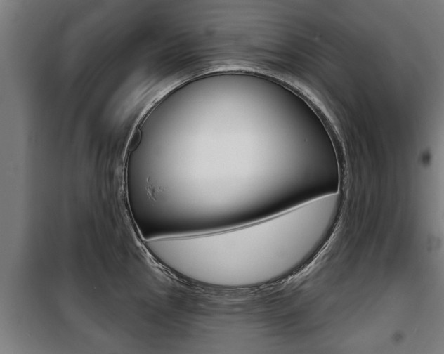 X0000100841145200806200732