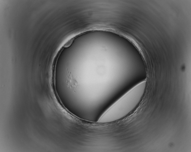 X0000100841147200806200732