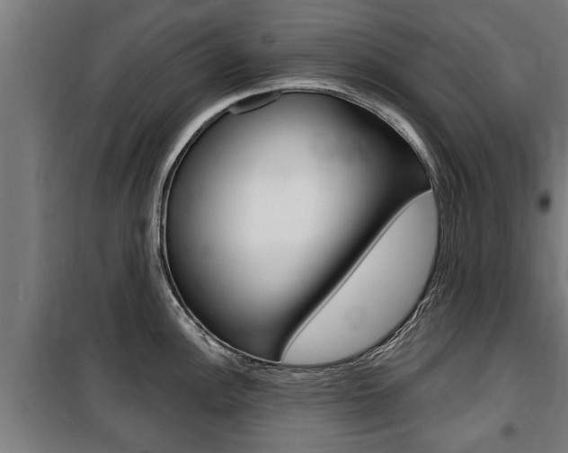 X0000100841148200806200732