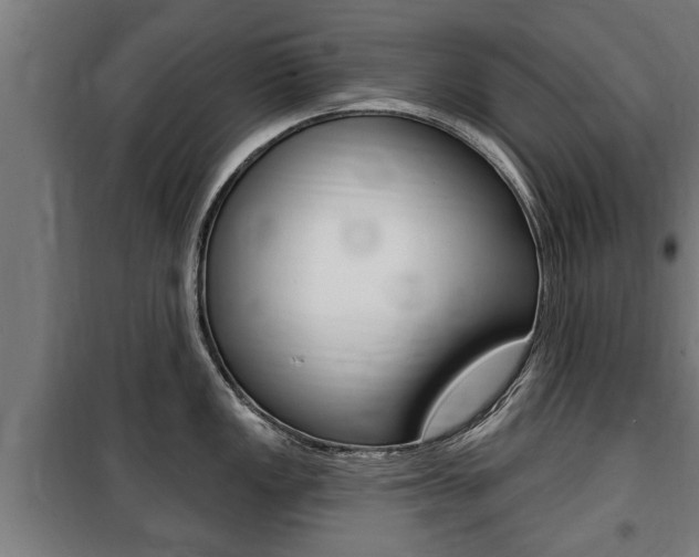 X0000100841149200806200732