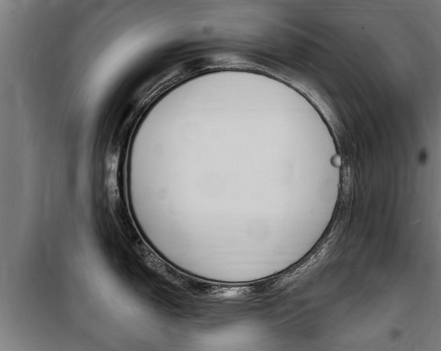 X0000100841150200806200732