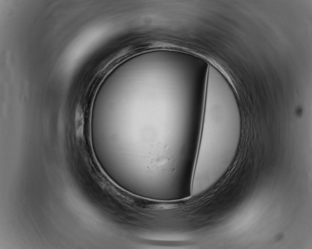 X0000100841151200806200732