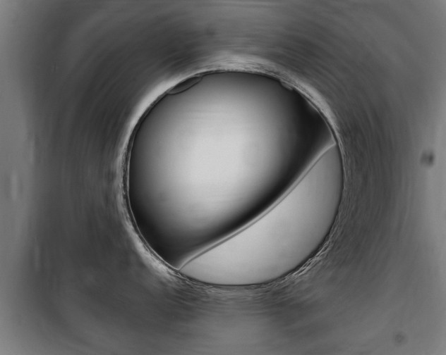 X0000100841152200806200732