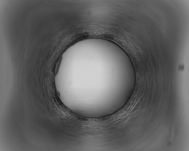 X0000100841153200806200731