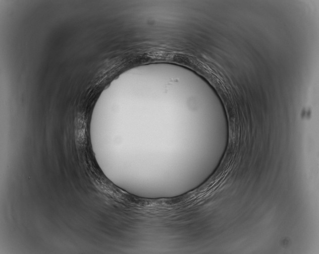 X0000100841154200806200731