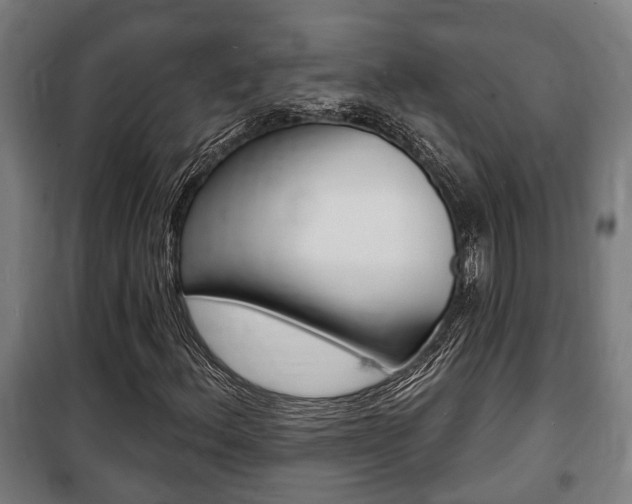 X0000100841156200806200731