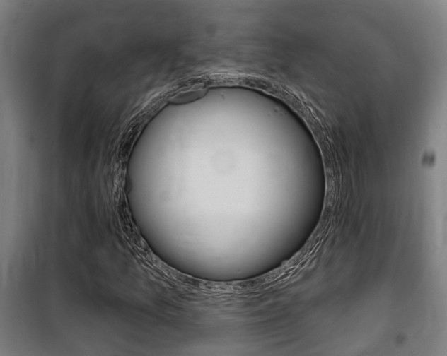 X0000100841157200806200731