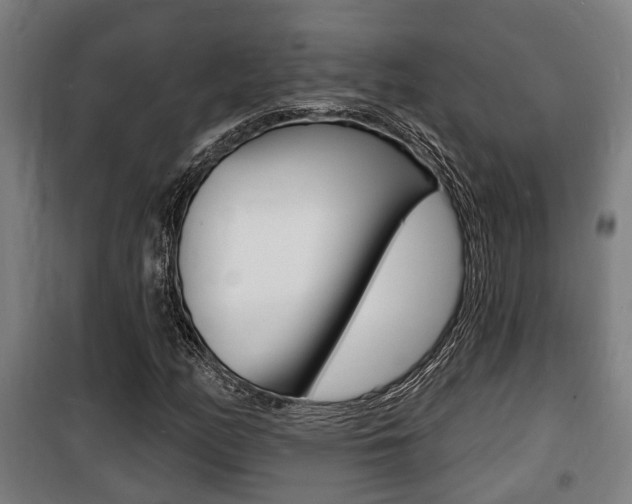 X0000100841158200806200731