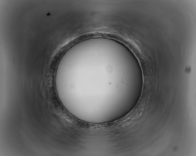 X0000100841159200806200731