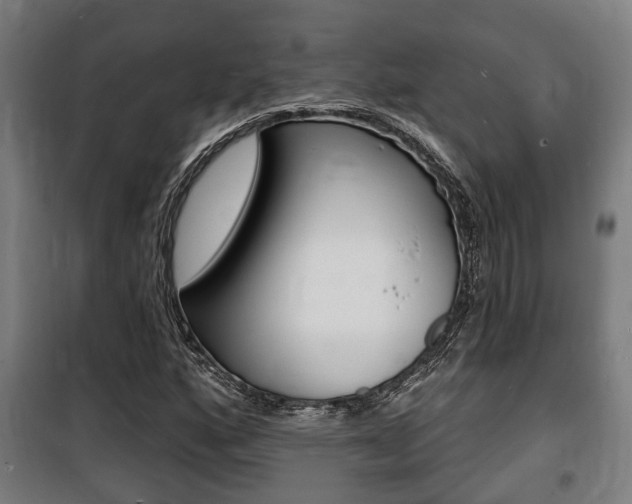 X0000100841160200806200731