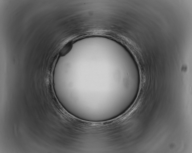 X0000100841161200806200731