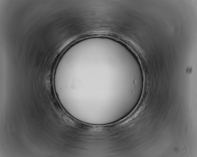 X0000100841162200806200731