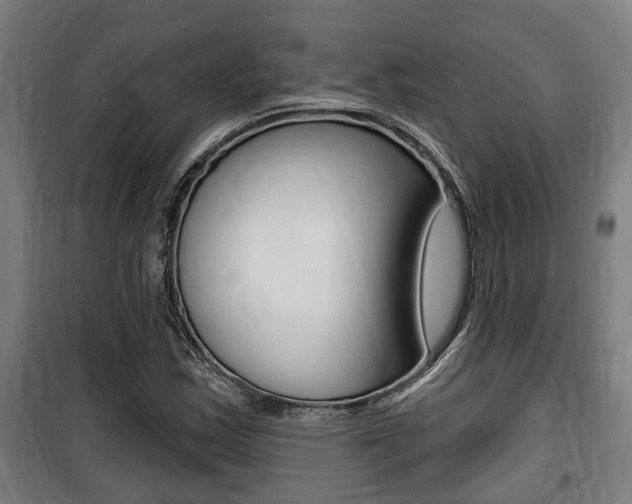 X0000100841163200806200731