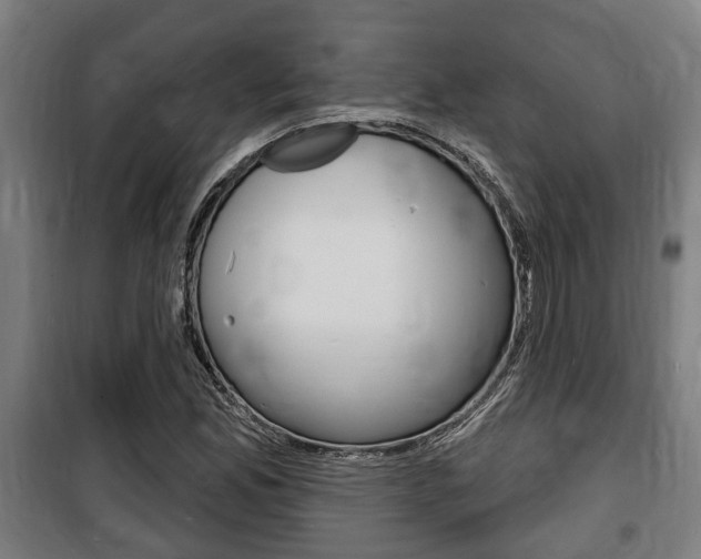 X0000100841165200806200731