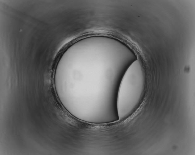 X0000100841166200806200731