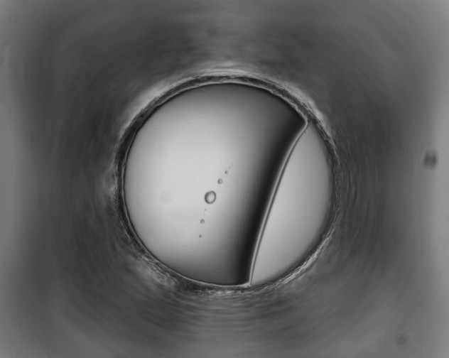 X0000100841167200806200731