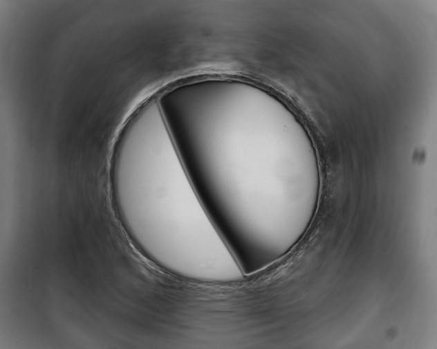 X0000100841168200806200731