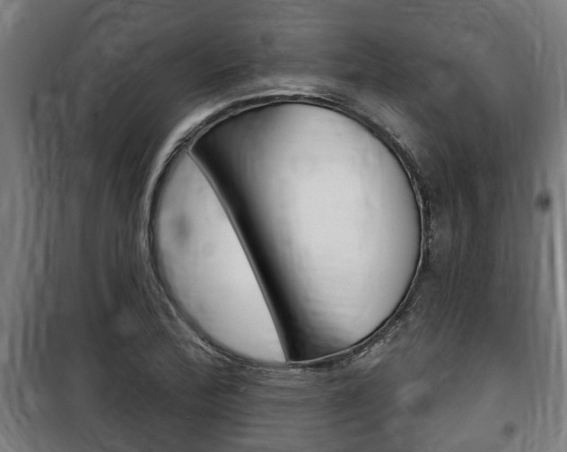 X0000100841172200806200731