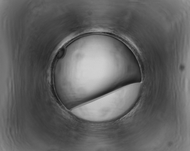 X0000100841173200806200731