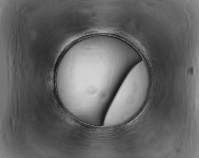 X0000100841174200806200731